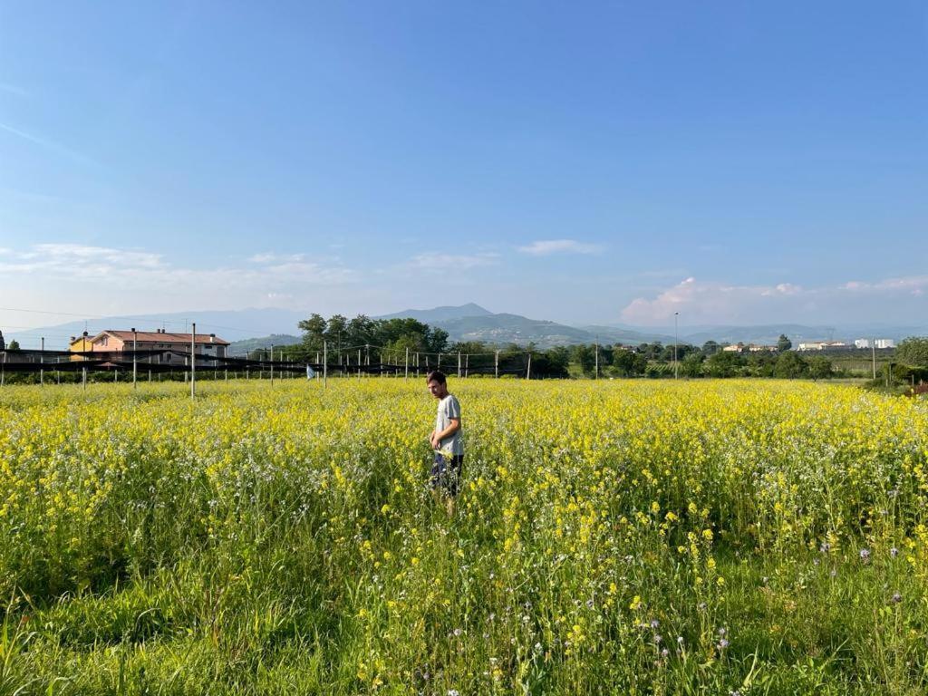 Agriturismo Fior Di Maggio Pescantina Exterior foto