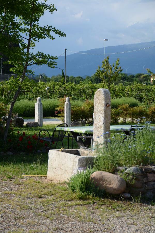 Agriturismo Fior Di Maggio Pescantina Exterior foto